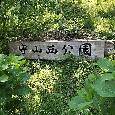 実際訪問したユーザーが直接撮影して投稿した中條公園守山西公園の写真