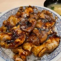 上豚丼 - 実際訪問したユーザーが直接撮影して投稿した南七条西丼ものまむろの写真のメニュー情報