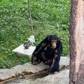 実際訪問したユーザーが直接撮影して投稿した東旭川町倉沼動物園旭川市旭山動物園の写真