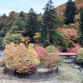 実際訪問したユーザーが直接撮影して投稿した南中野山 / 峠中野もみじ山の写真