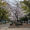 実際訪問したユーザーが直接撮影して投稿した長者町公園大通り公園の写真