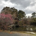 実際訪問したユーザーが直接撮影して投稿した梅津フケノ川町神社梅宮大社の写真