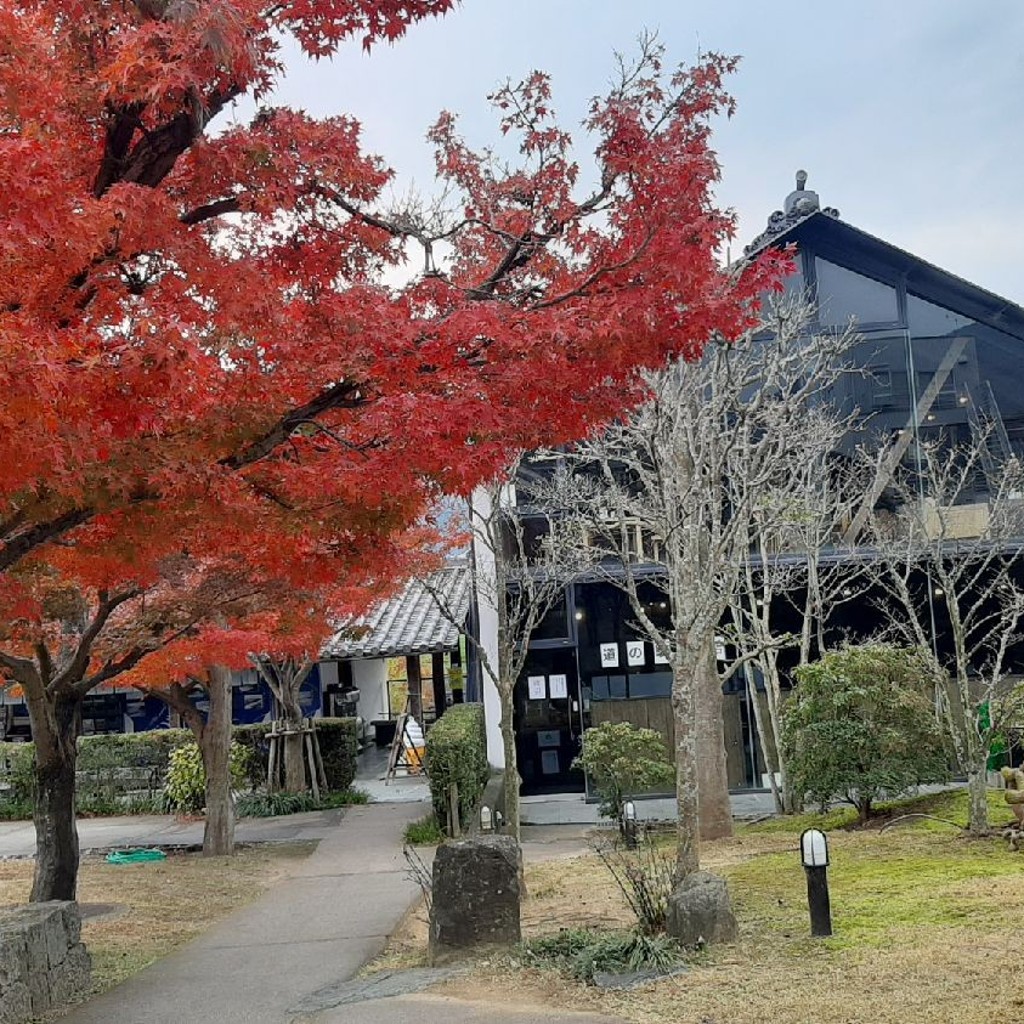 実際訪問したユーザーが直接撮影して投稿した脇町大字脇町道の駅道の駅 藍ランドうだつの写真