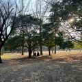 実際訪問したユーザーが直接撮影して投稿した清澄公園清澄公園の写真