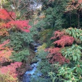 実際訪問したユーザーが直接撮影して投稿した箕面公園公園箕面公園の写真