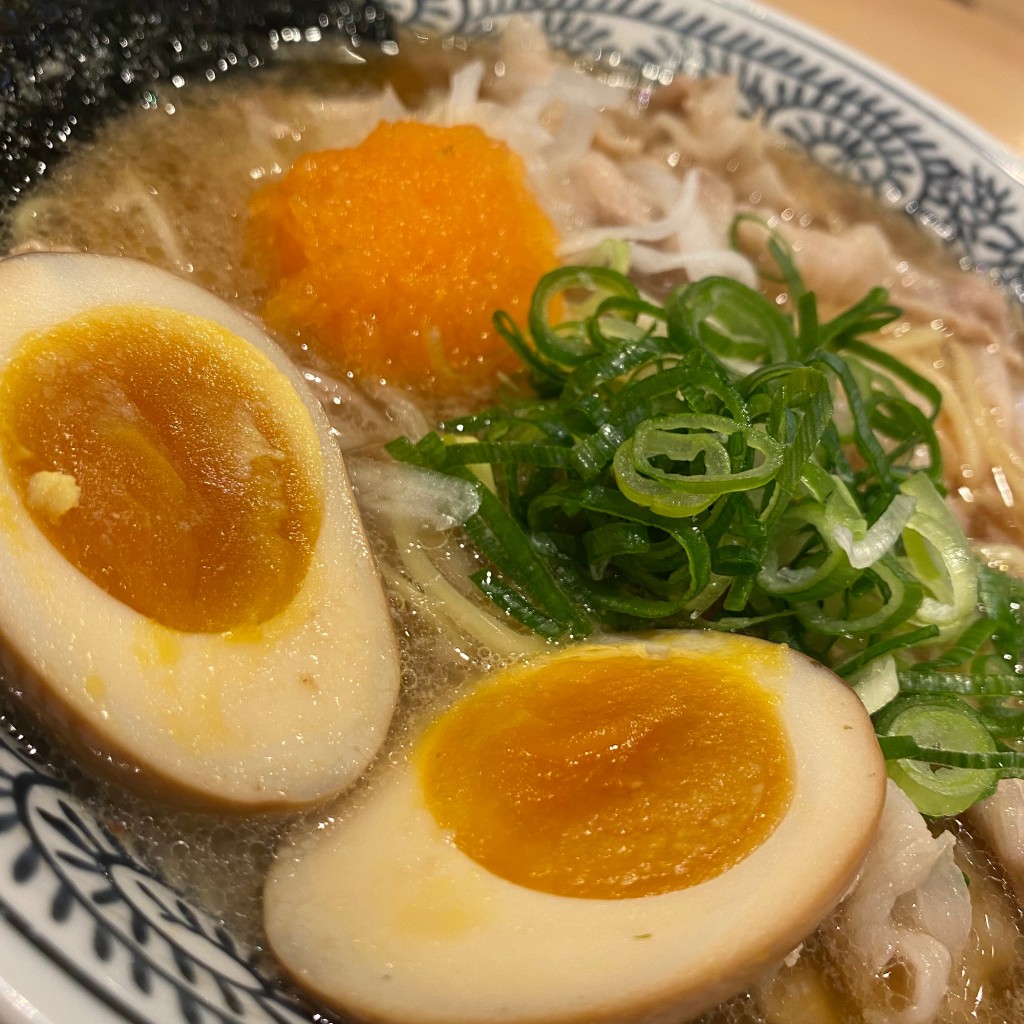 ユーザーが投稿した肉そばD炒餃Lunchの写真 - 実際訪問したユーザーが直接撮影して投稿した小川町ラーメン専門店丸源ラーメン 諫早店の写真