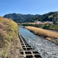 実際訪問したユーザーが直接撮影して投稿した河川河津川の写真