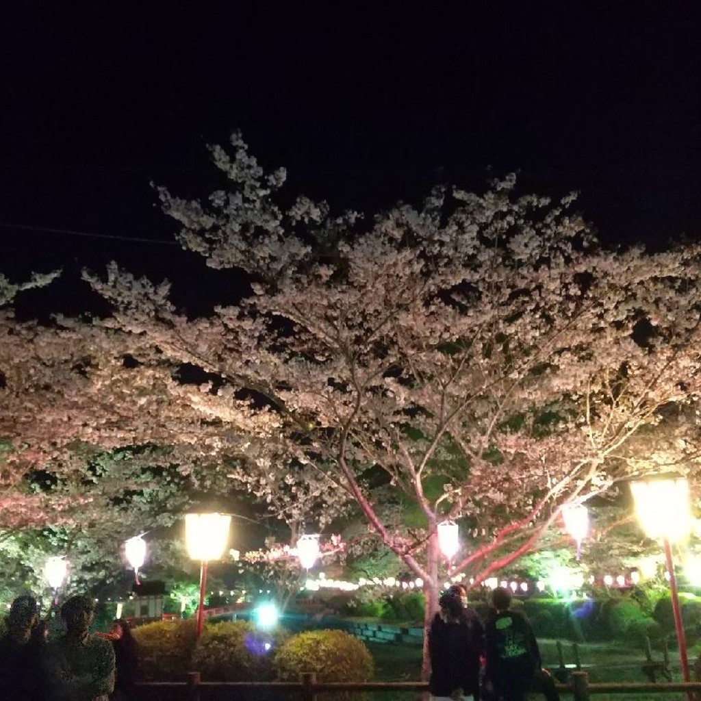 実際訪問したユーザーが直接撮影して投稿した高師公園茂原公園の写真