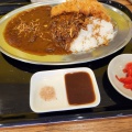 実際訪問したユーザーが直接撮影して投稿した江越カレーカツカレーの虎の写真