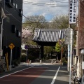 実際訪問したユーザーが直接撮影して投稿した碑文谷寺天台宗 経王山 文殊院 圓融寺の写真