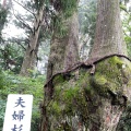 実際訪問したユーザーが直接撮影して投稿した玉置川神社玉置神社の写真