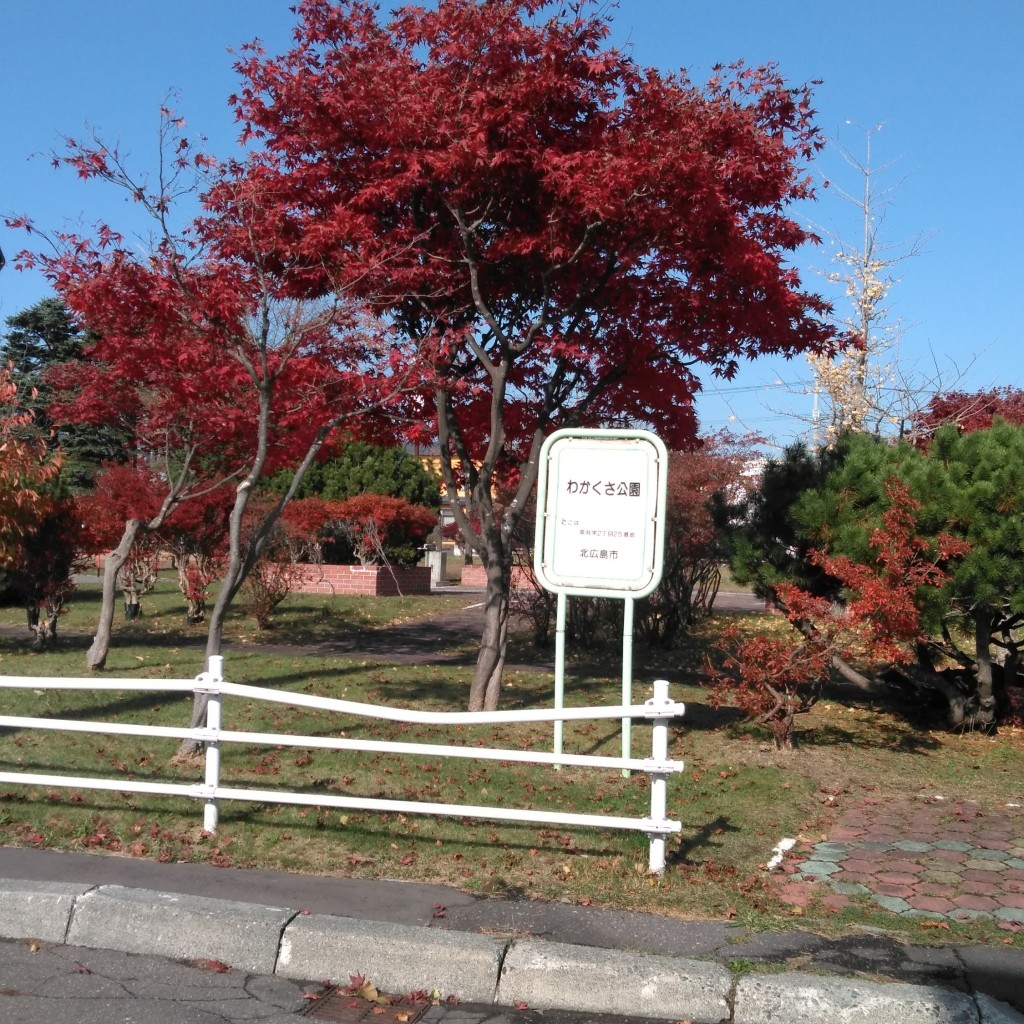 実際訪問したユーザーが直接撮影して投稿した東共栄公園わかくさ公園の写真