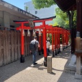 実際訪問したユーザーが直接撮影して投稿した茶臼山町神社茶臼山稲荷神社の写真