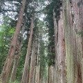 実際訪問したユーザーが直接撮影して投稿した戸隠神社戸隠神社 奥社の写真