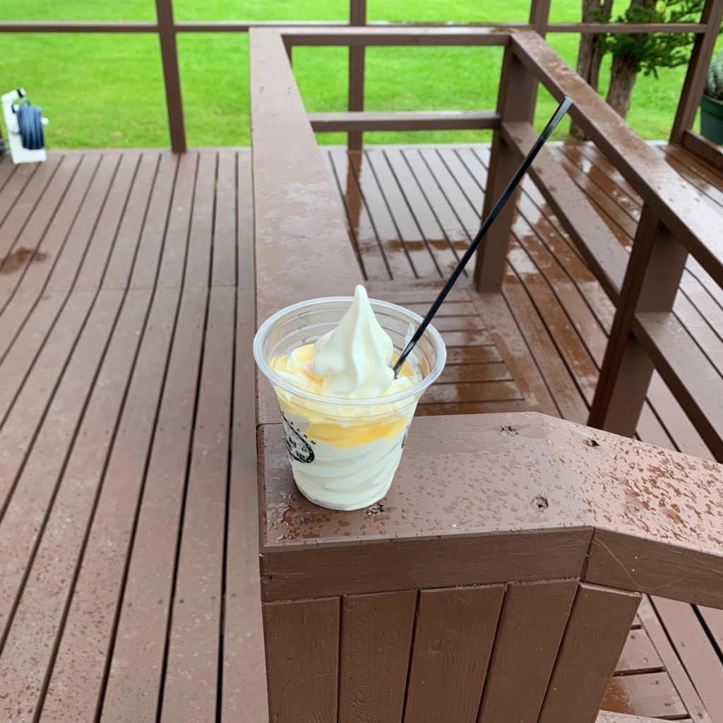 ユーザーが投稿したハチミツソフトクリームの写真 - 実際訪問したユーザーが直接撮影して投稿した篠津スイーツ町村農場 ミルクガーデンの写真