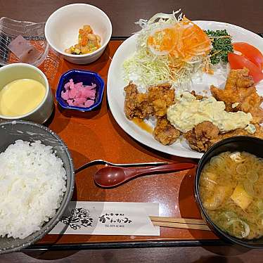 実際訪問したユーザーが直接撮影して投稿した明智町定食屋お食事処 かわかみの写真