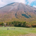 実際訪問したユーザーが直接撮影して投稿した大山山 / 峠大山の写真