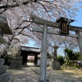 実際訪問したユーザーが直接撮影して投稿した膳所神社膳所神社の写真