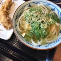 実際訪問したユーザーが直接撮影して投稿した中央林間うどん丸亀製麺 りんかんモール店の写真