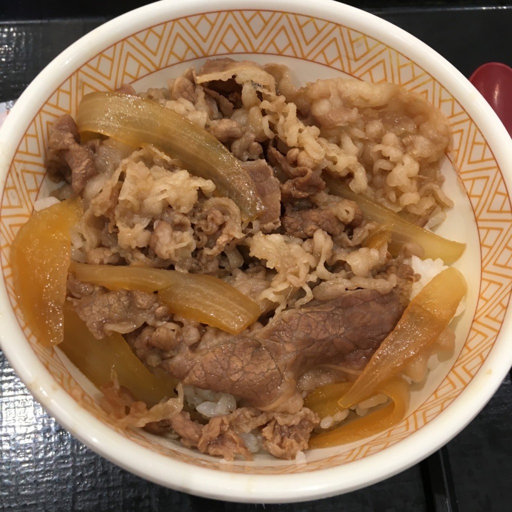 ユーザーが投稿した牛丼ミニの写真 - 実際訪問したユーザーが直接撮影して投稿した美園牛丼すき家 イオンモール浦和美園店の写真