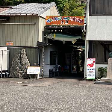 実際訪問したユーザーが直接撮影して投稿した八幡町城南町体験サンプルビレッジ・いわさきの写真