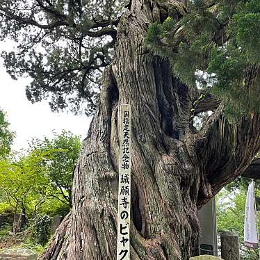 実際訪問したユーザーが直接撮影して投稿した城堀寺城願寺の写真