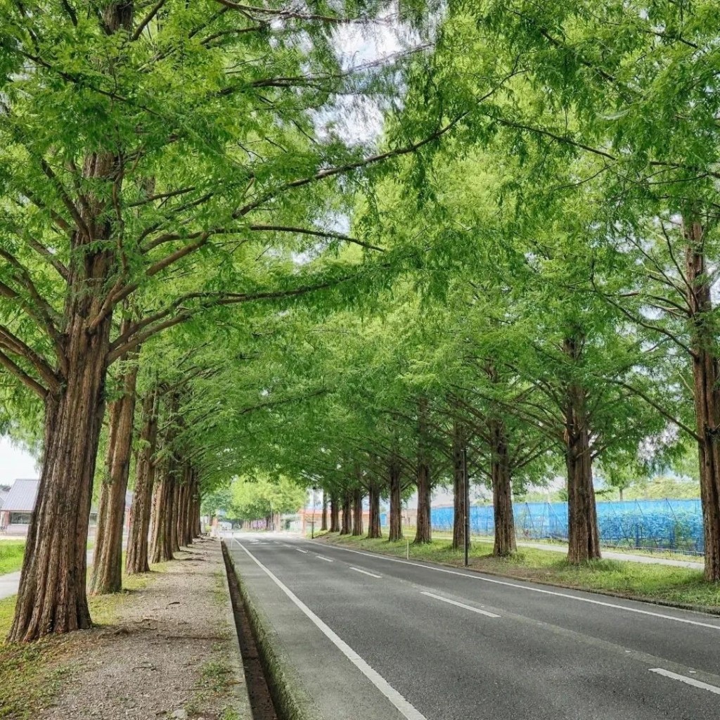 実際訪問したユーザーが直接撮影して投稿した安曇川町西万木カレーカレーハウスCoCo壱番屋 高島安曇川店の写真