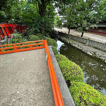 実際訪問したユーザーが直接撮影して投稿した根津神社乙女稲荷神社の写真