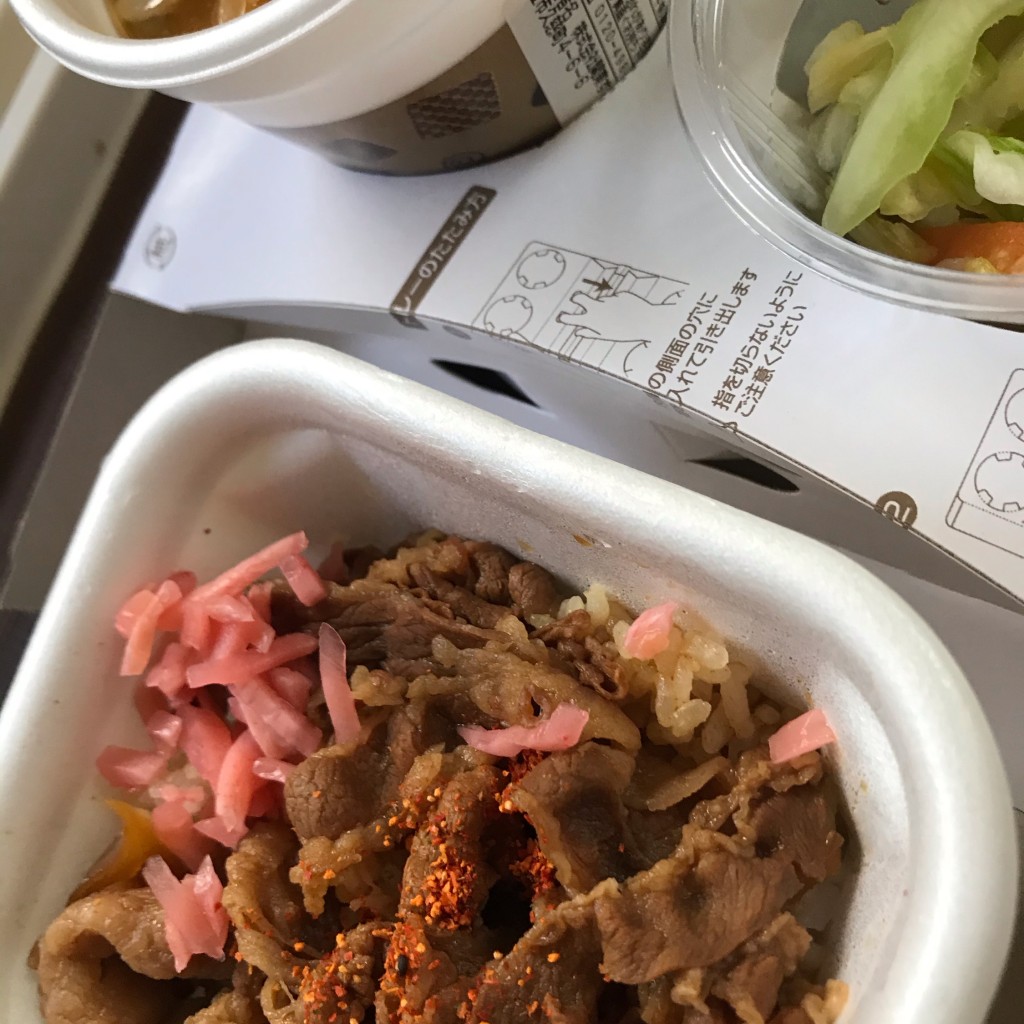 ユーザーが投稿した牛丼ミニ弁当(トン汁、お新香つき)の写真 - 実際訪問したユーザーが直接撮影して投稿した久慈町牛丼すき家 245号日立久慈店の写真