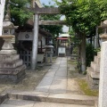 実際訪問したユーザーが直接撮影して投稿した名駅南神社白鷹龍神の写真