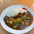 野菜カレー - 実際訪問したユーザーが直接撮影して投稿した江坂町カフェ萠茶の写真のメニュー情報