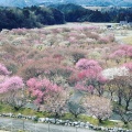 実際訪問したユーザーが直接撮影して投稿した藤原町鼎公園いなべ市農業公園の写真