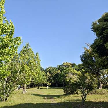 実際訪問したユーザーが直接撮影して投稿した三ヶ日町大崎公園まきの木公園の写真