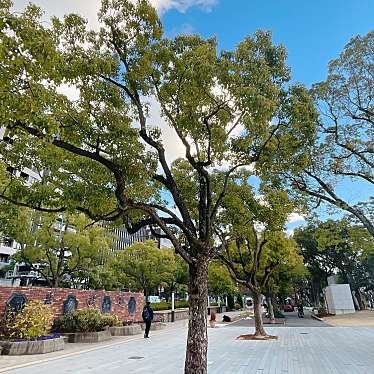 実際訪問したユーザーが直接撮影して投稿した加納町散策路東遊園地 遊歩道の写真