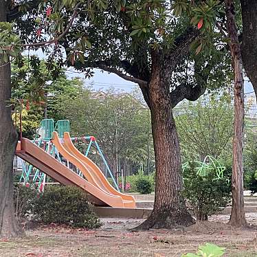 実際訪問したユーザーが直接撮影して投稿した緑町公園緑公園の写真