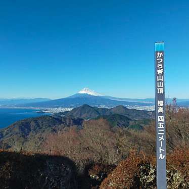 実際訪問したユーザーが直接撮影して投稿した長岡カフェ伊豆の国パノラマパーク パノラマカフェの写真