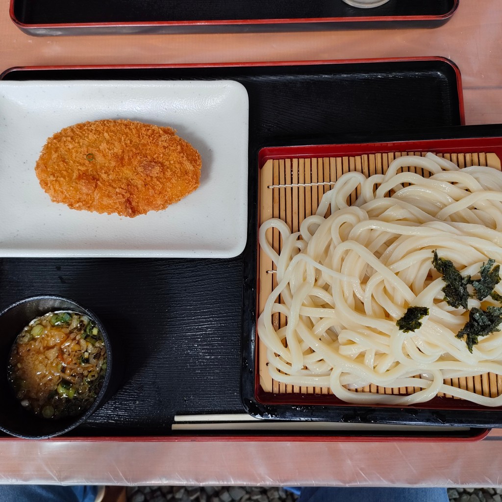 ドッキーさんが投稿した櫛梨町うどんのお店白川うどん/シラカワウドンの写真