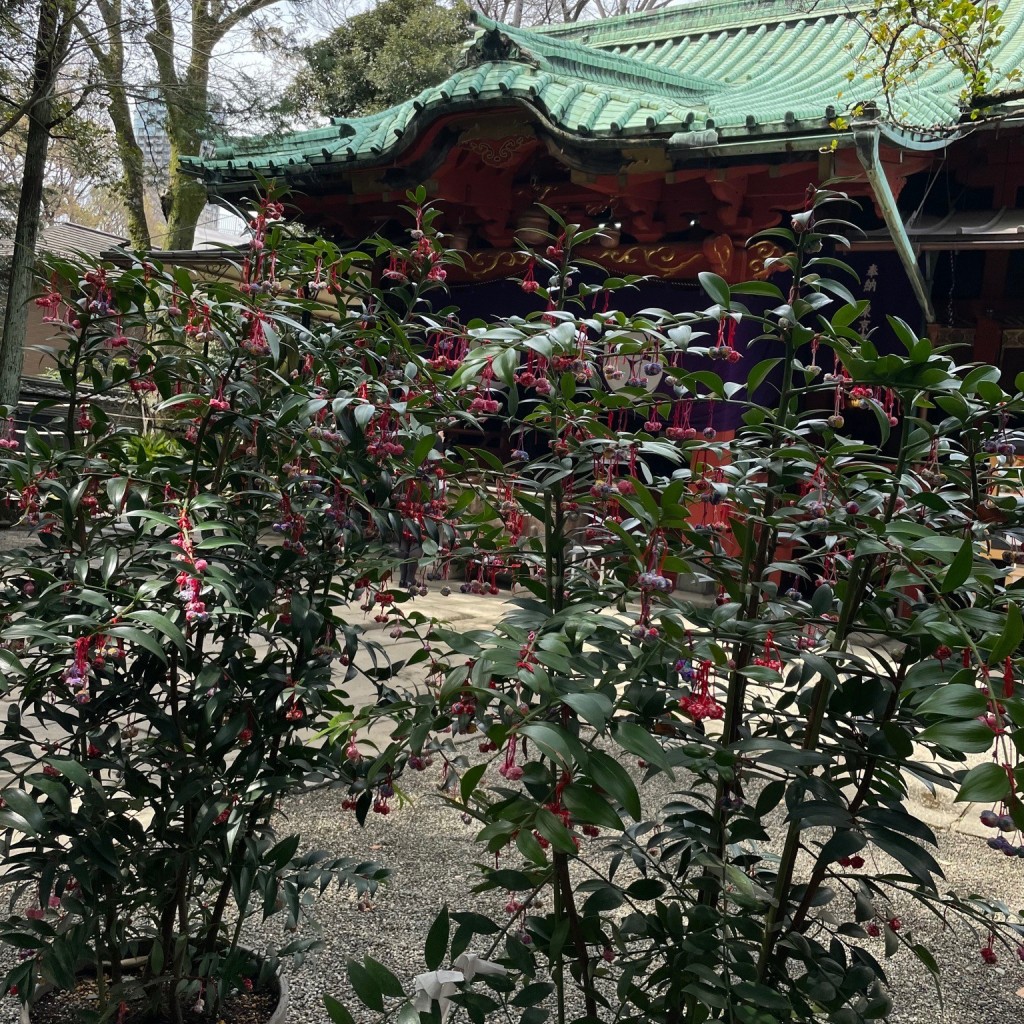 ゆるりゆらりさんが投稿した赤坂神社のお店赤坂 氷川神社/アカサカ ヒカワジンジャの写真