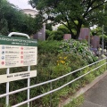 実際訪問したユーザーが直接撮影して投稿した大野町公園ポートサイド公園の写真