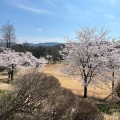 実際訪問したユーザーが直接撮影して投稿した御山町公園悠久山公園の写真