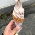 牧場のソフトクリーム 季 - 実際訪問したユーザーが直接撮影して投稿した南浦町スイーツみるく工房 飛鳥の写真のメニュー情報