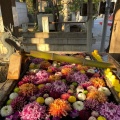 実際訪問したユーザーが直接撮影して投稿した元総社町神社総社神社の写真