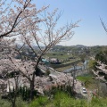 実際訪問したユーザーが直接撮影して投稿した塚脇公園摂津峡公園の写真