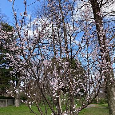 千里南公園のundefinedに実際訪問訪問したユーザーunknownさんが新しく投稿した新着口コミの写真