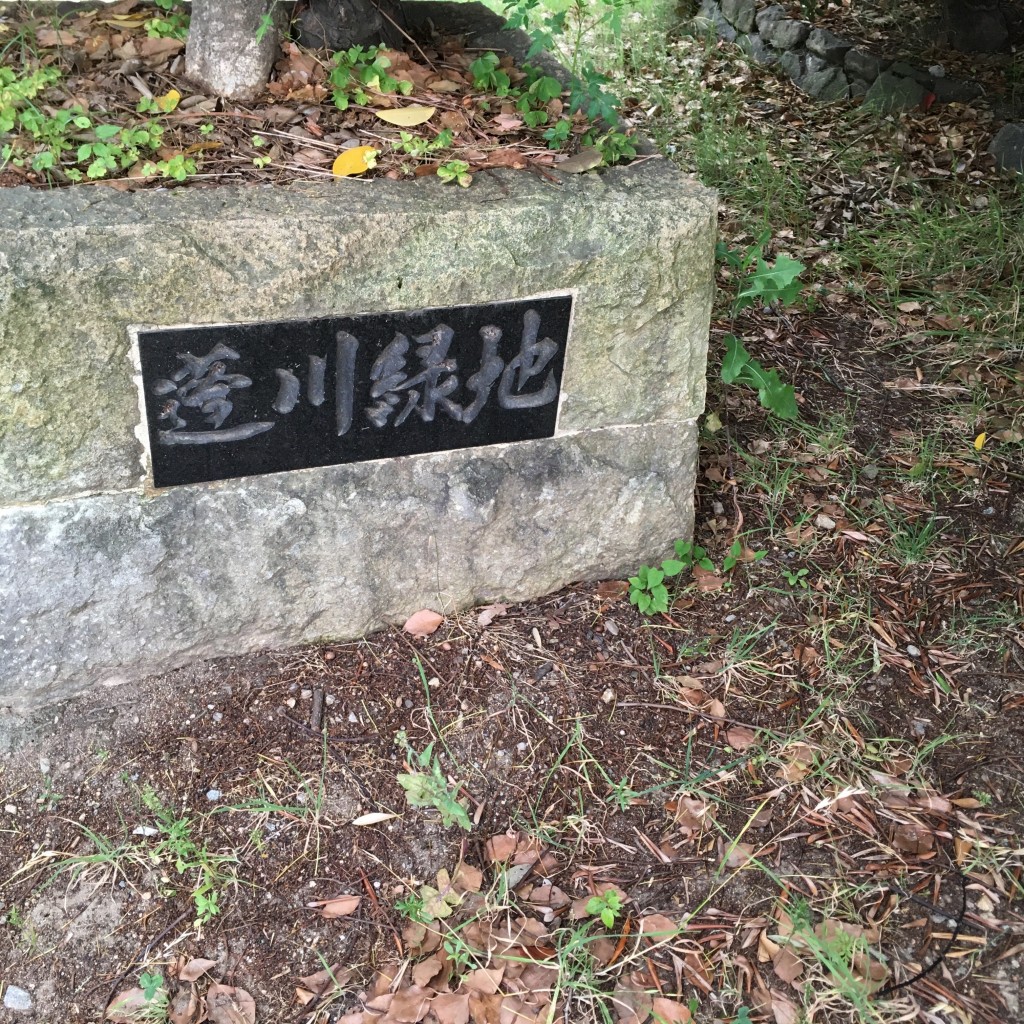 ぶどううり・くすこさんが投稿した蓬川荘園公園のお店蓬川緑地/ヨモガワリョクチの写真