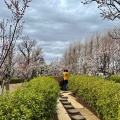 実際訪問したユーザーが直接撮影して投稿した代田公園羽根木公園の写真