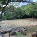 実際訪問したユーザーが直接撮影して投稿した黒尾公園砂川公園の写真