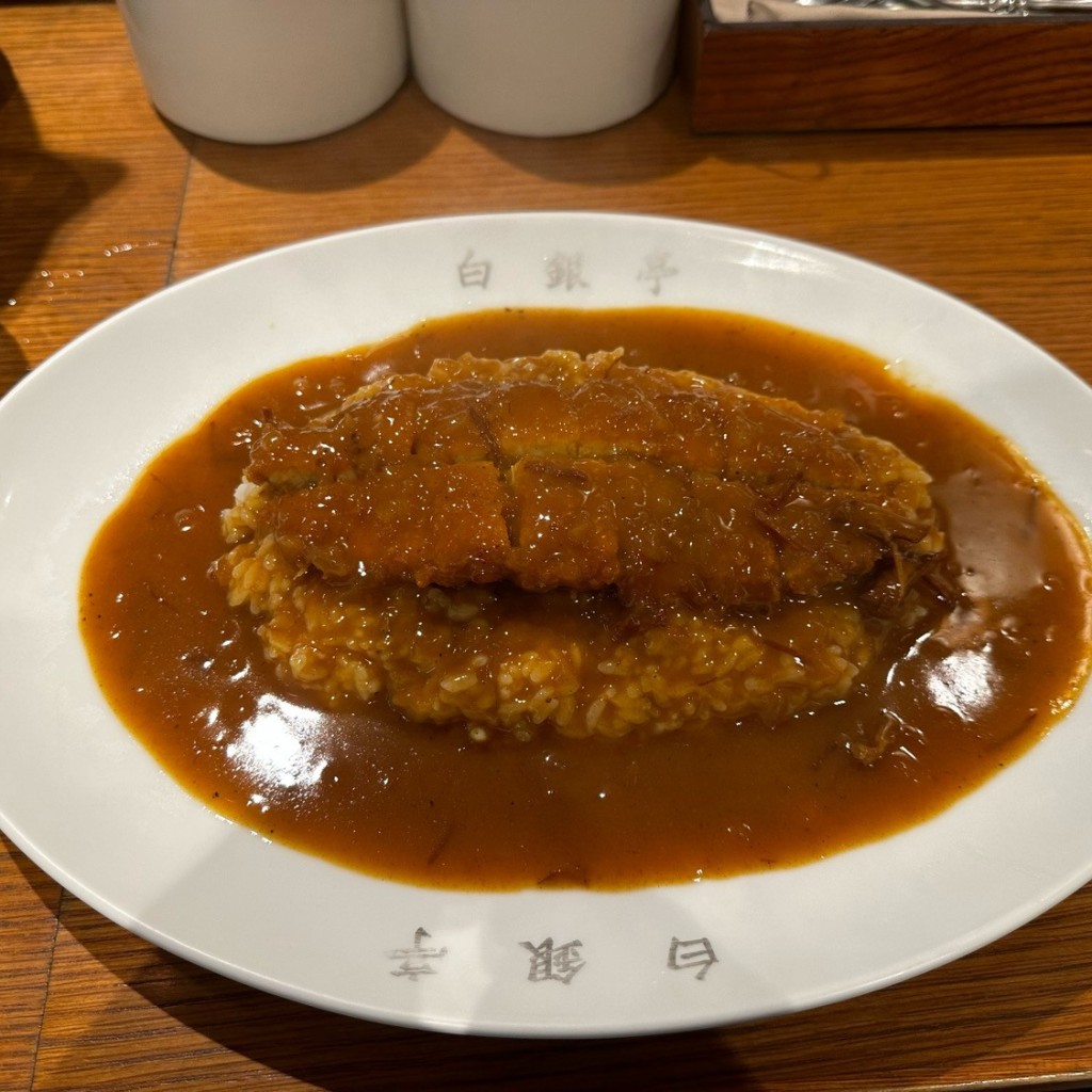 ユーザーが投稿したとんかつカレーの写真 - 実際訪問したユーザーが直接撮影して投稿した南本町カレーカレー専門店 白銀亭  イトゥビル店の写真