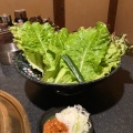 実際訪問したユーザーが直接撮影して投稿した肉料理楽炎の写真