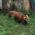 実際訪問したユーザーが直接撮影して投稿した北葛西動物園江戸川区自然動物園の写真